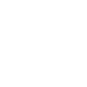 CyberOwl